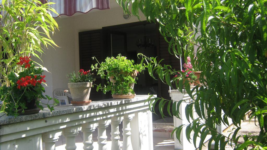 Apartments Grzunov Zadar Ngoại thất bức ảnh