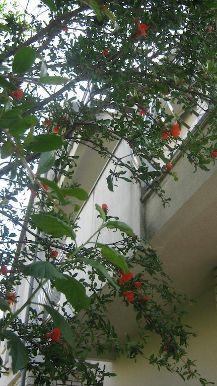 Apartments Grzunov Zadar Ngoại thất bức ảnh
