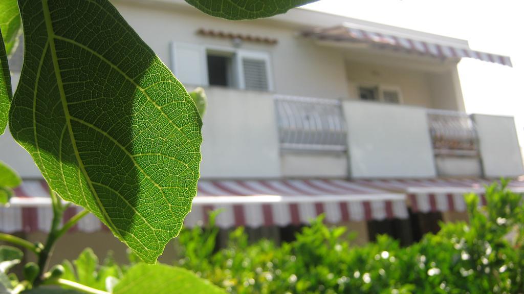 Apartments Grzunov Zadar Ngoại thất bức ảnh
