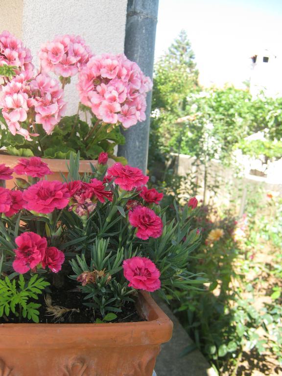 Apartments Grzunov Zadar Ngoại thất bức ảnh